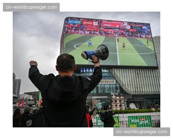 赛场花絮:大雨中,小球迷高举自制标语为球队加油 赛场花絮:大雨中,小球迷高举自制标语为球队加油